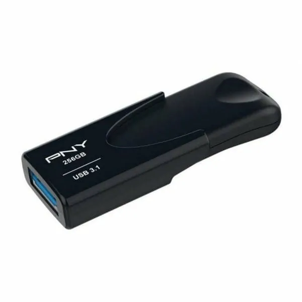 RAM atmintis PNY Attache 4 Juoda 256 GB