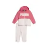 Детский спортивных костюм Puma