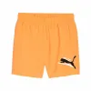 Urheilushortsit Puma Essentials+ AB