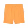 Lühikesed Spordipüksid Puma Essentials+ AB