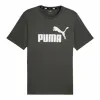 Miesten T-paita Puma Essentials Harmaa