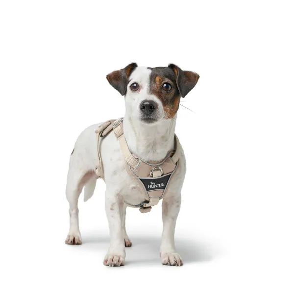 Dog Harness Hunter DIVO UP Beige S/M