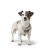 Dog Harness Hunter DIVO UP Beige L