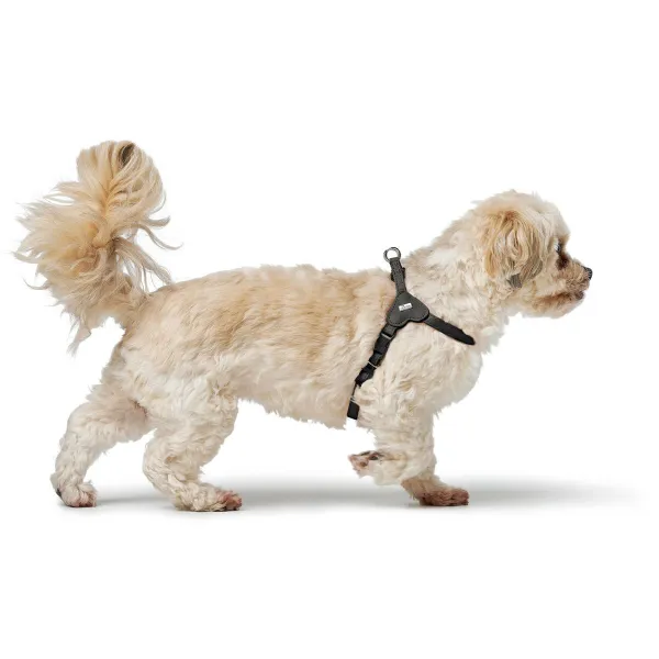 Dog Harness Hunter SOHO MINI Black
