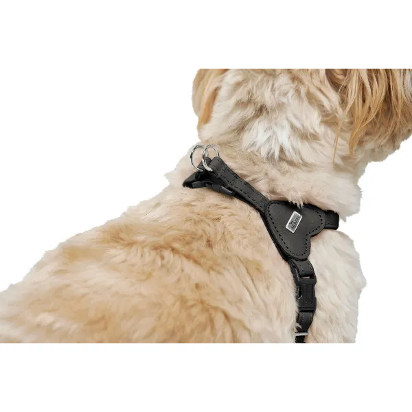 Dog Harness Hunter SOHO MINI Black XS/S