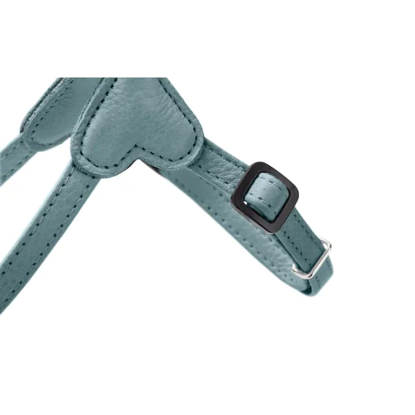Koera rakmed Hunter SOHO MINI Sinine XS