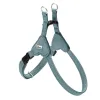Koera rakmed Hunter SOHO MINI Sinine XS/S