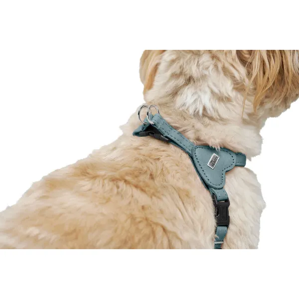 Dog Harness Hunter SOHO MINI Blue XS/S