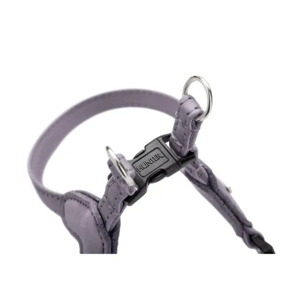 Koera rakmed Hunter SOHO MINI Lillla XS