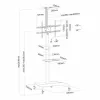 TV laikiklis Neomounts PLASMA-M1900E 37" 50 kg