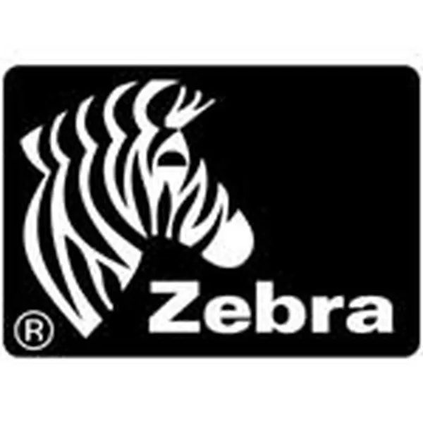 Tulostintarrat Zebra 880269-025D Hopeinen Ø 25 mm (12 osaa)