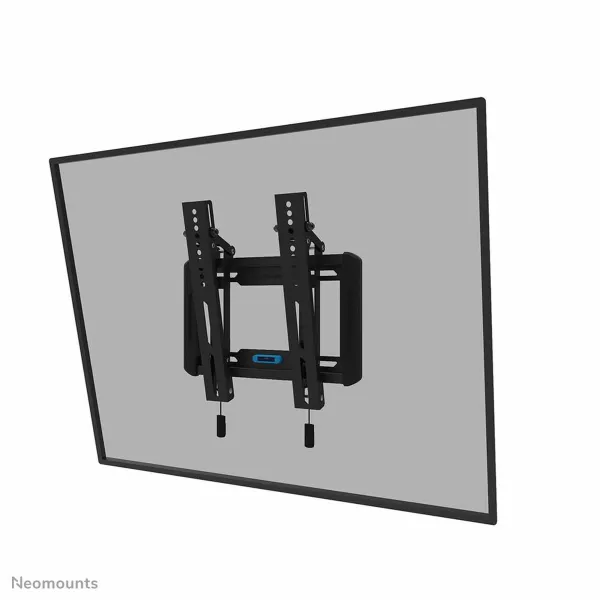 TV laikiklis Neomounts 12597255000 24-55" 55" 65" 45 kg