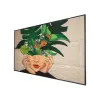 Монитор Videowall Philips 86BDL4511D/00 4K Ultra HD 4K Ultra HD 86" 86"
