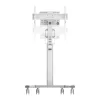 TV laikiklis Neomounts FL50S-825WH1 70 Kg