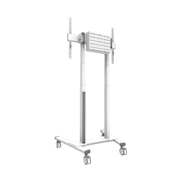TV laikiklis Neomounts FL55-875WH1