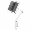 Wall Bracket Neomounts DS15-545WH1 4,7" 12,9"