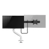 Ekrano laikiklis Neomounts DS75S-950WH2 Balta 27"