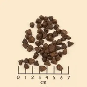 Pašarai Wolfsblut Suaugęs Mėsa Batatas Arklys 2 Kg