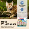 Snack for Cats Inaba Zivs