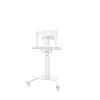 TV Statīvs Neomounts AV2-500WH