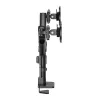 Ekrano laikiklis Neomounts DS65S-950BL2 34"