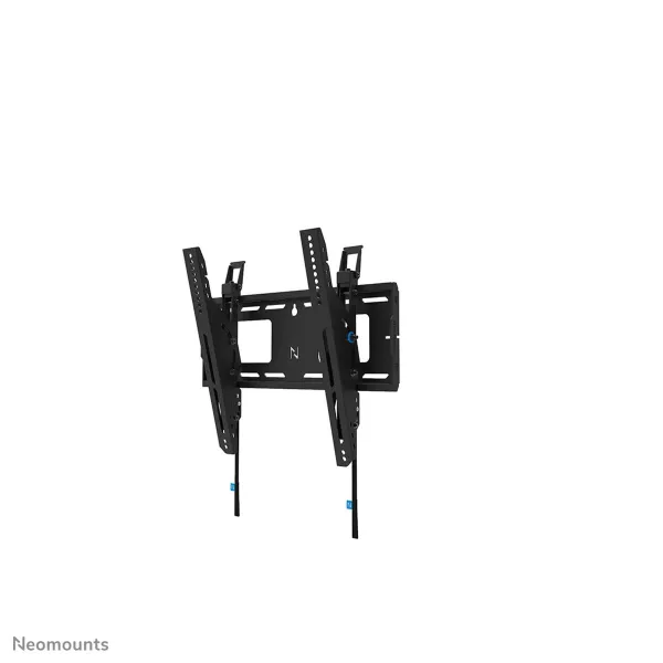 TV laikiklis Neomounts WL35-750BL14 32" 75" 100 kg