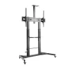 Käru Aisens FT100TE-171 60" 100"