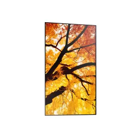 Videowall Monitorius Sharp 60006052 Full HD 32