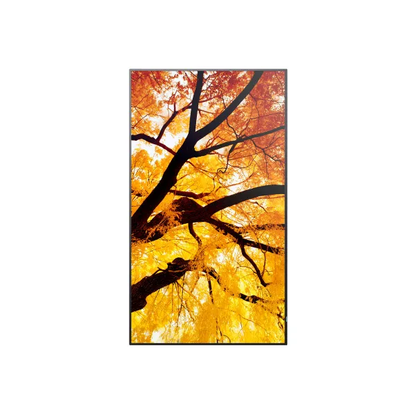 Videowall Monitors Sharp 60006052 Full HD 32