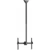 Ekrano laikiklis Neomounts CL35-440BL16L 70" 37" 50 kg