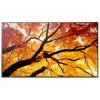Videowall Monitorius Sharp 60006057 4K Ultra HD 74,5"