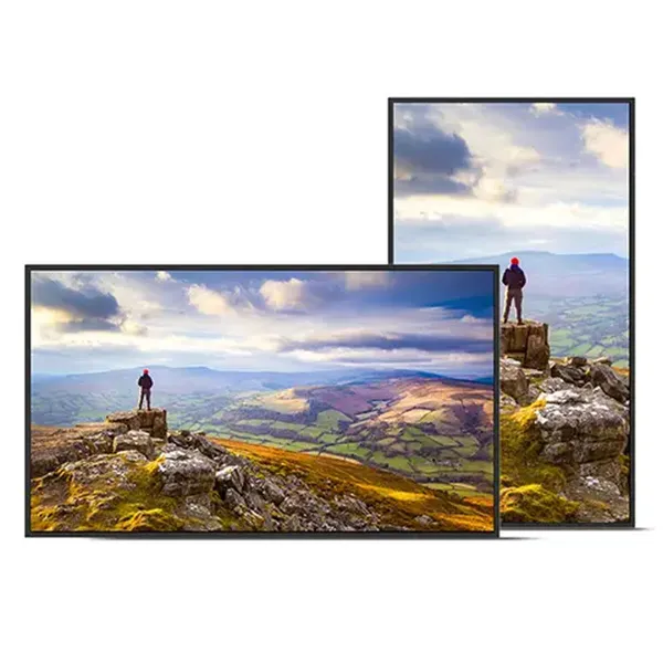 Монитор Videowall Sharp 60006181 4K Ultra HD 43"