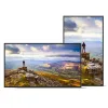 Монитор Videowall Sharp 60006181 4K Ultra HD 43"
