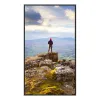 Монитор Videowall Sharp 60006181 4K Ultra HD 43"