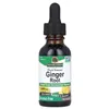 Ginger Root - 30 ml.