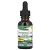 Gymnema Leaf Extract - 30 ml.