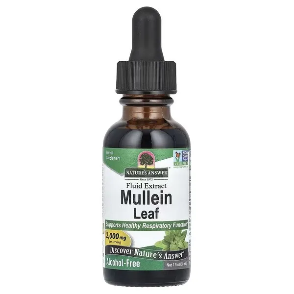 Mullein Leaf, Liquid - 30 ml.