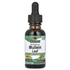 Mullein Leaf, Liquid - 30 ml.