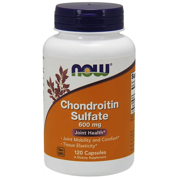 Chondroitin Sulfate, 600mg - 120 caps