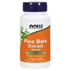 Pine Bark Extract, 240mg - 90 vcaps