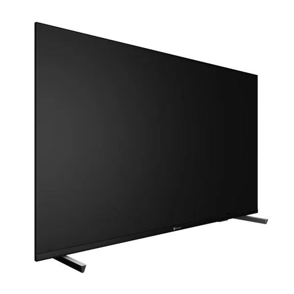 Monitors Ag Neovo VA-5501 55