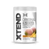 Xtend, Mango Madness - 441g