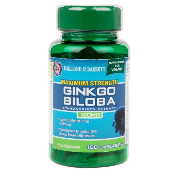 Maximum Strength Ginkgo Biloba, 120mg - 100 caps