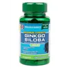 Maximum Strength Ginkgo Biloba, 120mg - 100 caps