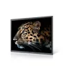 Videowall Monitorius Maxhub C7530 4K Ultra HD 75"