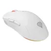 Pele Genesis ZIRCON XIII Balts 26000 DPI