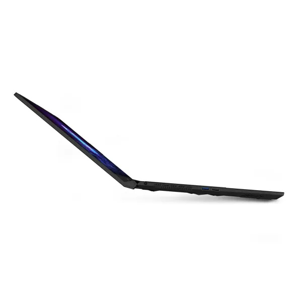 Portatīvais dators MSI B8VF-1004XPL