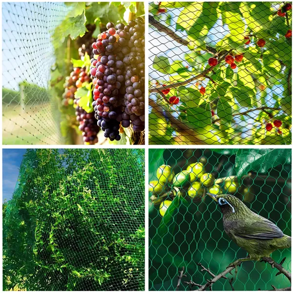 Anti-bird net Springos AB0001 5x50 m