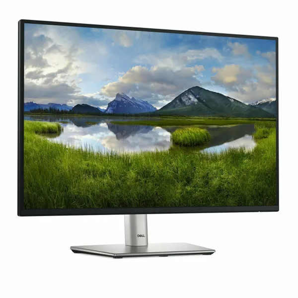 Monitorius Dell DELL-P2425E 24" WUXGA