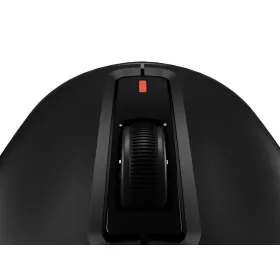 Cietais Disks Patriot Memory P320P2TBM28 2 TB SSD